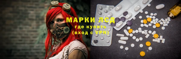 прущие грибы Алзамай