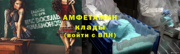 прущие грибы Алзамай