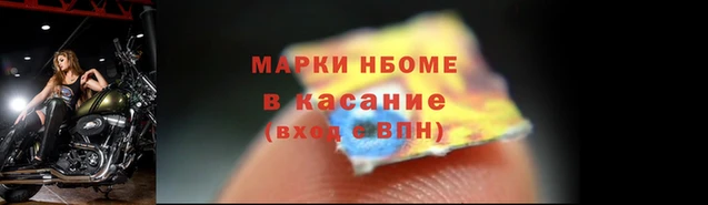 прущие грибы Алзамай