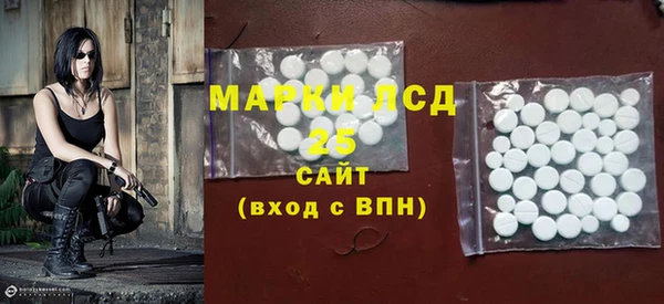 прущие грибы Алзамай