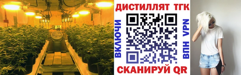 сколько стоит Цоци-Юрт ТГК вейп